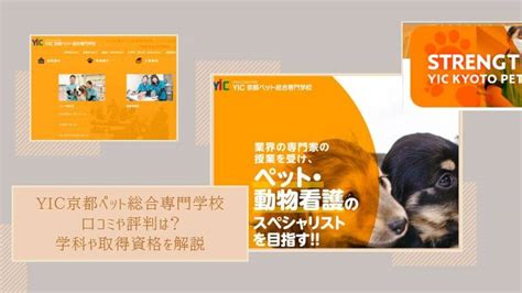 Yic京都ペット総合専門学校の口コミや評判は？学科や取得資格を解説