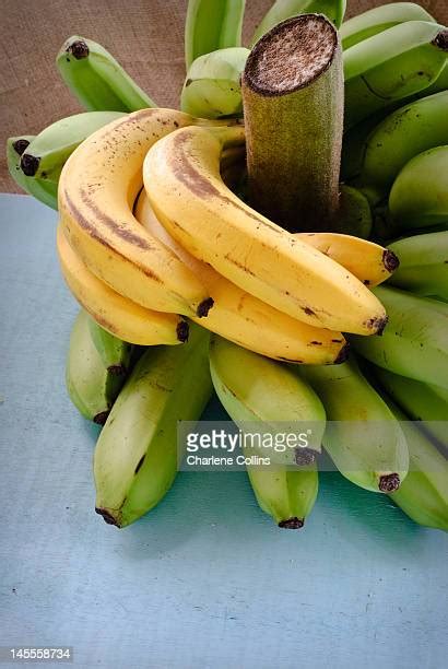 136 Jamaica Banana Stock Photos High Res Pictures And Images Getty