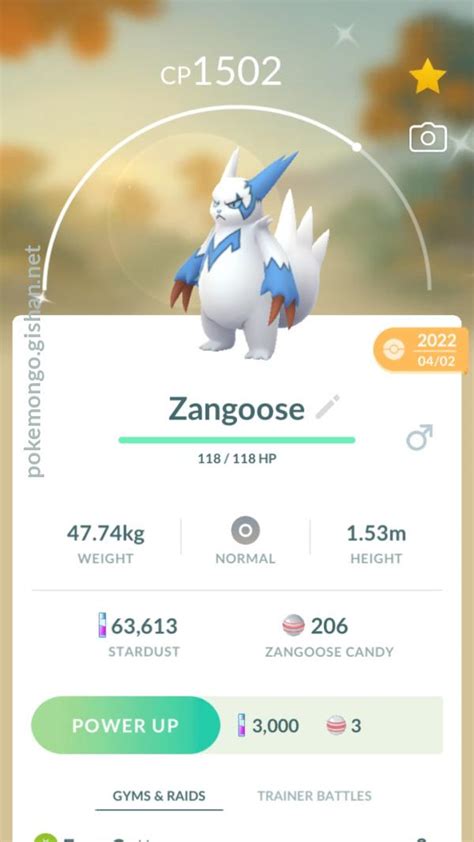 Shiny Zangoose - Pokemon Go