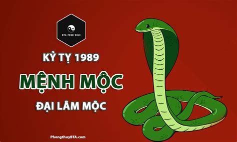 1989 element chinese zodiac - Zodiacstock.com