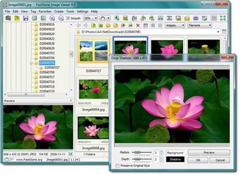 Melhores Aplicativos Para Organizar Fotos No Windows