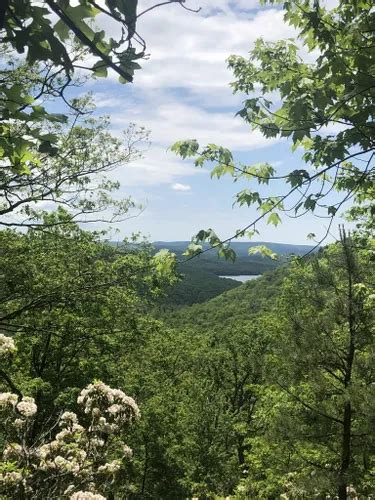 10 Best Hikes and Trails in Michaux State Forest | AllTrails