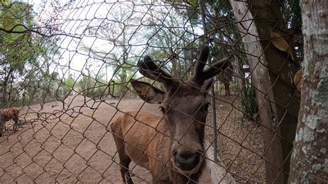 Este Lugar Se Encuentra En Berrioz Bal Chiapas Ya Lo Conoces Youtube