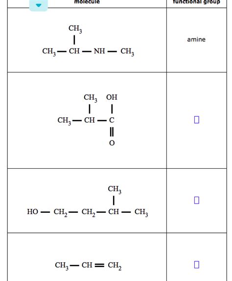 Solved Name The Functional Group Shown In Each Molecule