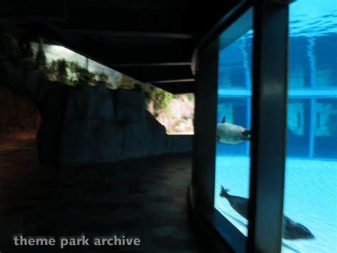 Aquarium at Marineland | Theme Park Archive