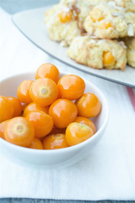 Gooseberries Come with a Cape... To Rescue You from Boring Recipes ...