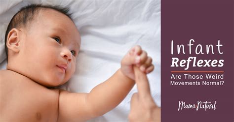 Infant Reflexes: Are Those Weird Movements Normal? (Images)