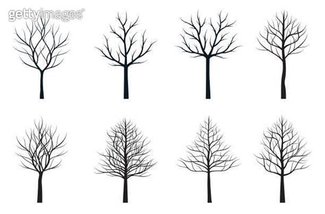 A Set Of Black Naked Tree Vector Outline Illustration Winter Plants