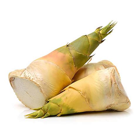 Bamboo Shoot