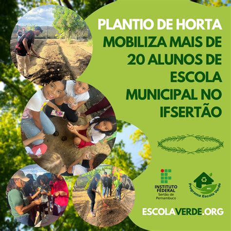 Escola Municipal Professora Luiza De Castro Ferreira E Silva - PLANTIO DE HORTA MOBILIZA MAIS DE 20 ALUNOS DE ESCOLA MUNICIPAL NO ...