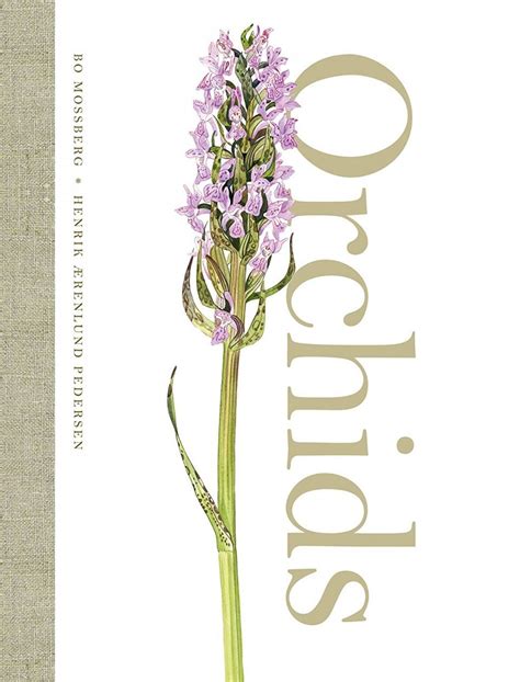 Orchids Nhbs Field Guides Natural History