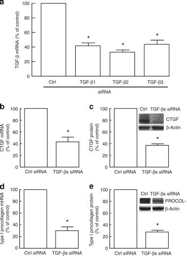 Reduced Expression Of Connective Tissue Growth Factor Ctgfccn2