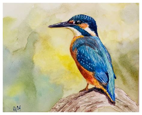 Kingfisher Watercolor Painting Giclee Print Original Artwork Etsy