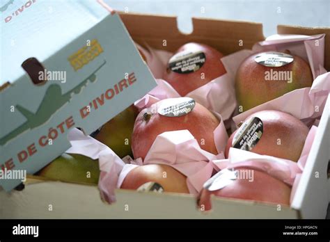 France Rungis Tray Of Mangoes Stock Photo Alamy