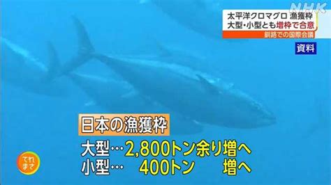 クロマグロ資源管理国際会議が閉幕 漁獲枠増枠で合意｜nhk 宮城のニュース