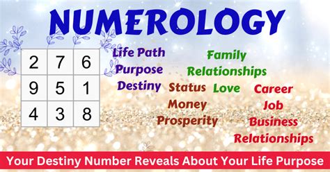 Best Numerologist In Mumbai Numerology Expert Near Me In Mumbai