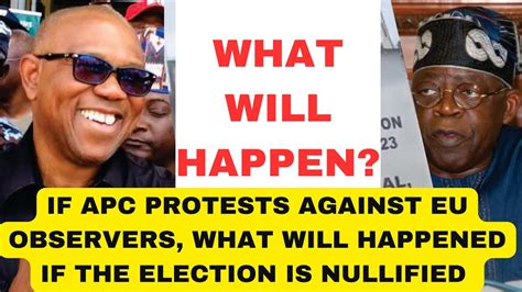 If Tinubu Election Nullified What Will Happen Peter Obi Vs Tinubu