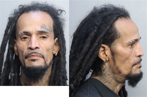 Montenegro Reyes Flavio Rodney Miami Dade County Mugshots Zone