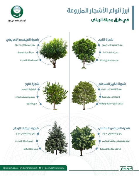 Saudiorthodent Twitter Tweets Twicopy