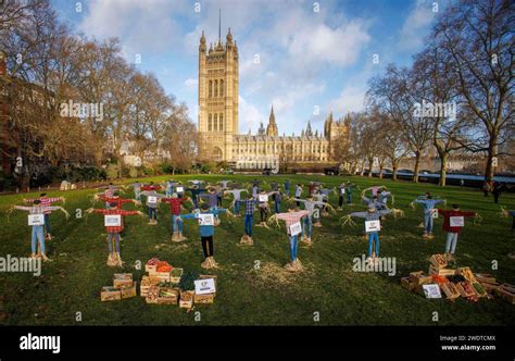 London Uk Jan Dozens Of Scarecrows Are Protesting Outside