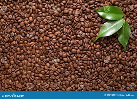 Fondo Del Primer De Los Granos De Café Con Las Hojas Verdes Foto de