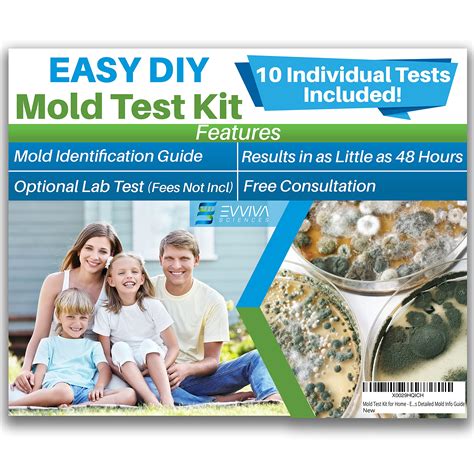 Buy Evviva Sciences Mold Test Kit For Home 10 Simple Mold Detection Tests Optional Lab