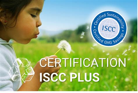 Certificação Verificação E Asseguração Sgs Sustentabilidade