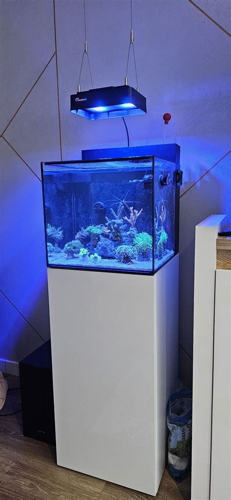 Maxspect Dice Akwarium Morskie Z Panelem Nano Rafa Nano Reef Komplet