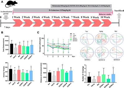 Frontiers Multi Omics Reveals Dengzhan Shengmai Formulation