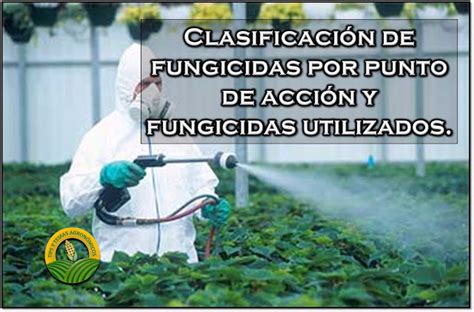 Clasificación De Fungicidas Y Marcas Mas Utilizadas