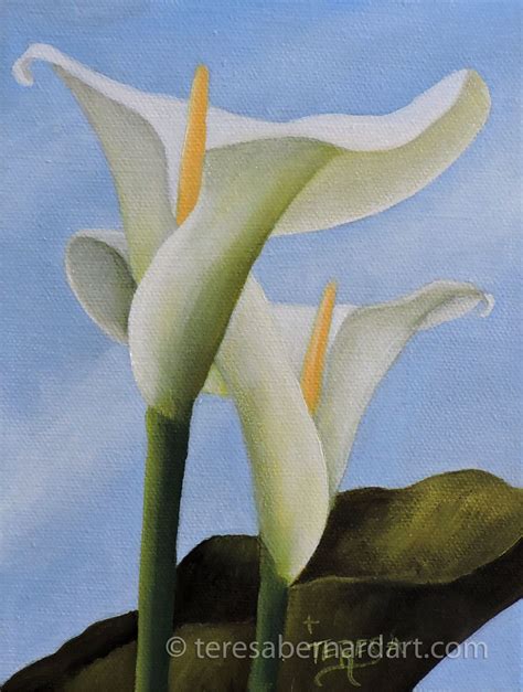 White Calla Lilies on Blue - Teresa Bernard Oil Paintings