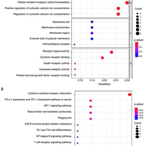 Gene Functional Enrichment Of Survival Associated Immune Related Genes Download Scientific