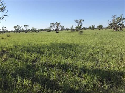 Fazenda A Venda Em Pocon Mt Fazendas Mato Grosso