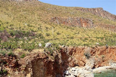 Parque Natural Riserva Dello Zingaro Sicily Italy Imagen De Archivo