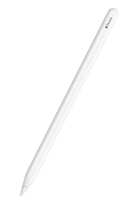 The 7 Best iPad Styluses 2021 - Best Stylus for Your iPad