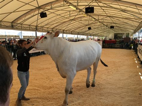 Agriumbria Crescono Gli Spazi Per La Fier