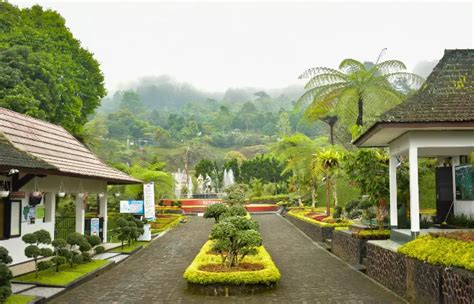 Rekomendasi Wisata Alam Di Banyumas Indah Dan Wajib Dikunjungi Saat