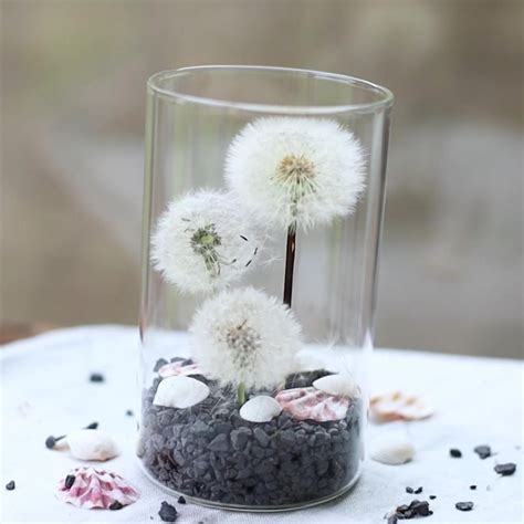 Pusteblume Haltbar Machen Konservieren Im Glas Und Als Deko Verwenden