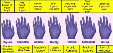 Hand Types For Palm Reading Palm Reading India