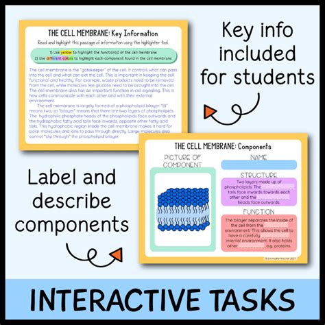 Cell Membrane Google Slides Emmatheteachie Resources