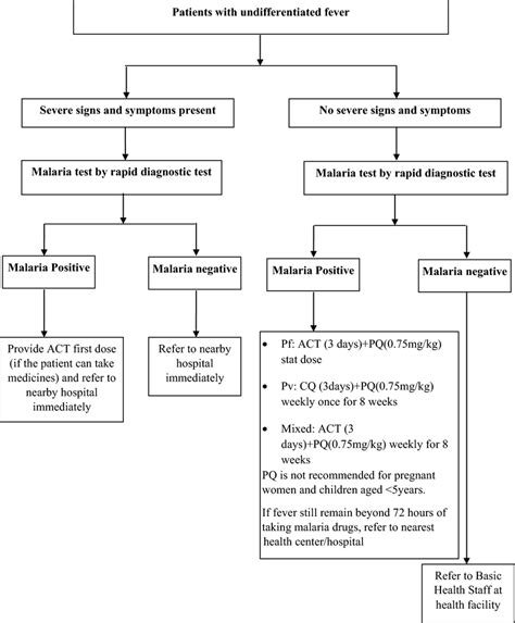 The Algorithm Of Malaria Screening Diagnosis And Treatment Services