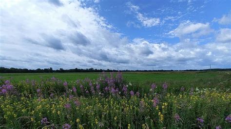 Dutch Landscape Photograph By Bert Ottens Fine Art America