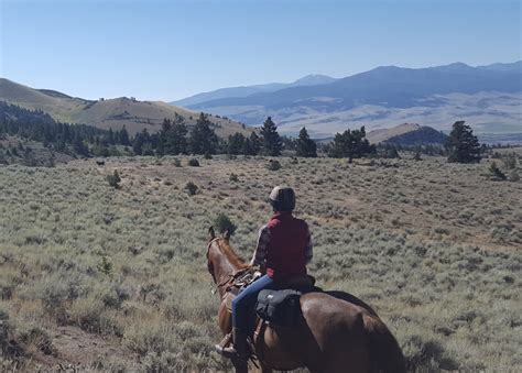 Happy Trails Gear Guide: What to Wear Horseback Trail Riding - Horse Rookie