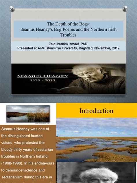 The Depth Of The Bogs Seamus Heaneys Bog Poems And The Northern Irish