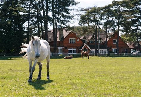 Beaulieu Inn Updated 2021 Prices Hotel Reviews And Photos Tripadvisor