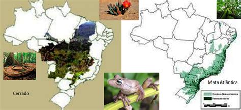 Cerrado E Mata Atlântica - GEOGRAFIA: Hotspots-Brasil-Cerrado e Mata Atlântica