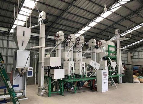 Buy Ton Per Hour Combined Rice Millet Mill Machine Combined Clean And