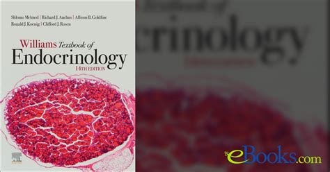 Williams Textbook Of Endocrinology 14th Ed