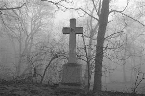 Scary Foggy Graveyard Scene. Stock Photo - Image of foggy, barren: 26577518