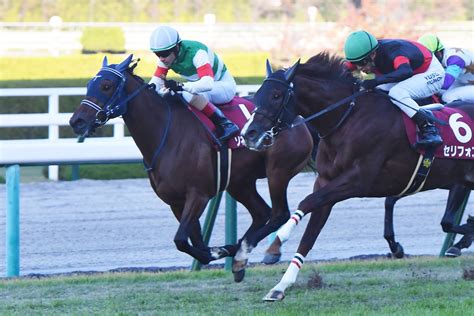 東スポ競馬 On Twitter 【次走報】デイリー杯2歳s2着のソネットフレーズはnhkマイルカップを目標 手塚調教師「体調そのものは